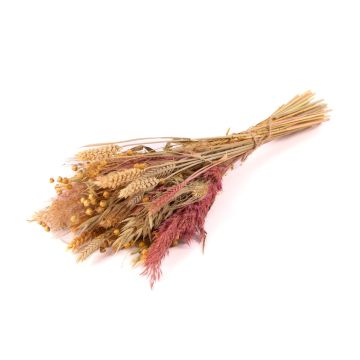 Bouquet secco DILIANE, rosa-natura, 50cm, Ø15cm