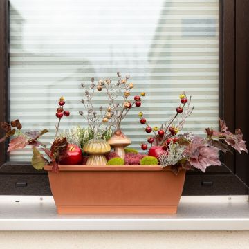 Impressioni autunnali - Fioriera da balcone Impressioni autunnali - Fioriera da balcone