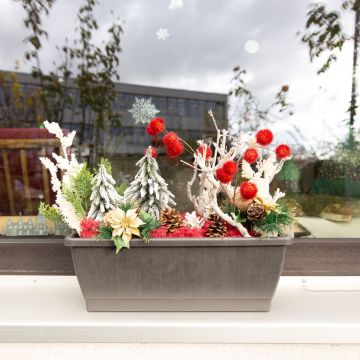 Atmosfera invernale - Fioriera da balcone