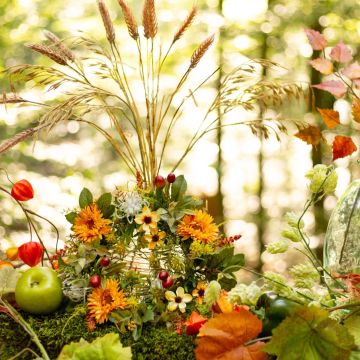 Ringraziamento - La ricompensa per un lavoro ben fatto Ringraziamento - La ricompensa per un lavoro ben fatto