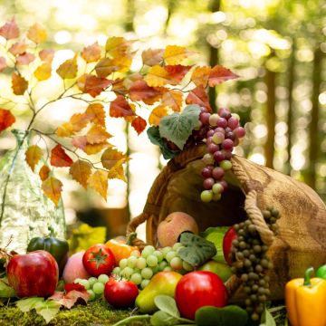 Ringraziamento - I frutti della terra Ringraziamento - I frutti della terra