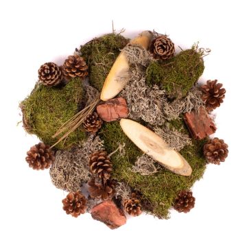 Decorazione sparsa QUIKISA in muschio, pigne, legno, licheni, verde-marrone, 500g Decorazione sparsa QUIKISA in muschio, pigne, legno, licheni, verde-marrone, 500g