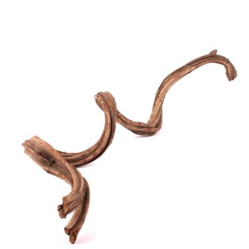Liana essiccata Cipo Rosca TANGUN, naturale, 100-120 cm Liana essiccata Cipo Rosca TANGUN, naturale, 100-120 cm