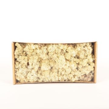 Vero muschio islandese SVEINBJÖRN, marrone, 500g Vero muschio islandese SVEINBJÖRN, marrone, 500g