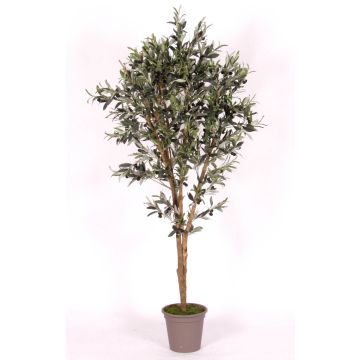 Olivo artificiale MIANA, tronchi naturali, con frutti, 100 cm - Made in Italy