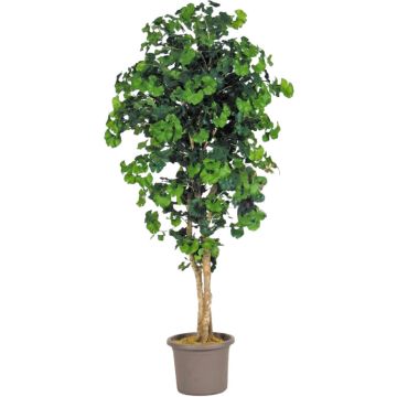 Ginkgo artificiale LUDOWIKA, tronchi veri, verde, 200 cm - Made in Italy
