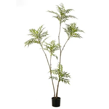Albero artificiale di mogano KLEANA, tronchi artificiali, verde, 180 cm