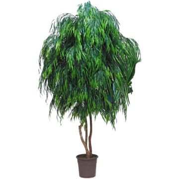 Salice piangente artificiale NADESCHA, tronchi naturali, verde, crossdoor, 275 cm - Made in Italy