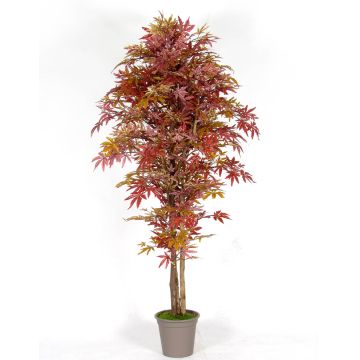 Acero giapponese artificiale MYKYTA, tronchi naturali, rosso-marrone, 125 cm - Made in Italy