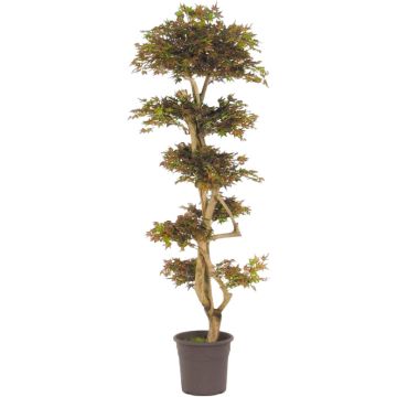 Albero decorativo Acero giapponese SLAWIK, tronco vero, verde-rosso, 150 cm - Made in Italy