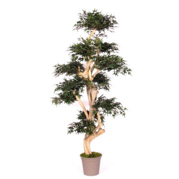 Albero decorativo Acero giapponese SLAWIK, tronco vero, verde, 150 cm - Made in Italy