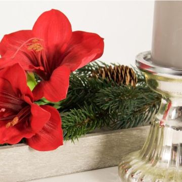 Un inizio di Avvento con stile