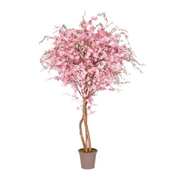 Falso pesco MILTRAUD, tronchi naturali, fiori, rosa, 300 cm - Made in Italy
