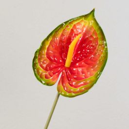 Anthurium Red 40cm - Agripet Garden