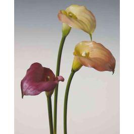 Calla Viola Calla artificiale PEPITA, viola scuro, 55cm, 7x11cm