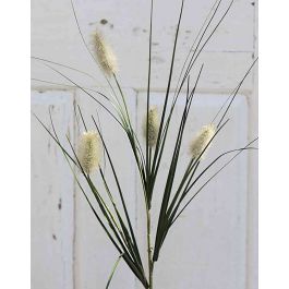 Semi Erba Coda Di Lepre - 250 Semi Lagurus Ovatus Per Giardino E Balcone