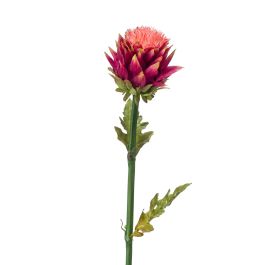 Bouquet Di Garofani Viola Un Bellissio Bouquet Di Tulipani Rosa E