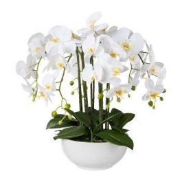 Orchidea Finta Phalaenopsis In Vaso Ceramica Con Foglie E Radici – Pianta Artificiale Realistica Per Decorazione Casa E Matrimonio - 3