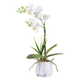 Orchidea farfalla 40 cm con foglie e radici d'aria in ciotola in ceramica, fiore artificiale, orchidea artificiale Phalaenopsis con vaso per piante artificiali, decorazione per matrimoni, fiori di