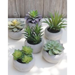 Piante Grasse Finte In Vaso - 2 Pezzi, Altezza 22cm, Vaso Grigio, Decorazione Casa Senza Manutenzione