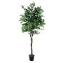 Ficus benjamin di plastica JACOPO, tronchi naturali, verde, 150cm