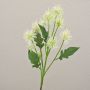 Ramo decorativo di cardo sferico GESKENDA, crema-bianco, 60 cm