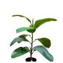 Albero della gomma artificiale FRODELINDE, tronco artificiale, verde, 60 cm