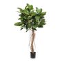 Albero di gomma artificiale ADORU, tronco naturale, verde, 155 cm