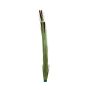 Cannuccia di palude falsa DIVO spadice, gambo, verde chiaro 150cm
