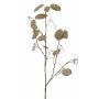 Ramo decorativo Lunaria LOUDIAS, beige, 90 cm