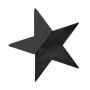 OASIS Black Ideal Schiuma per fiori freschi stella THARA, base in legno Bioline, nero, 30x29x4,5 cm