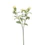 Ramo artificiale amaranto sferico DREWON, crema, 65 cm