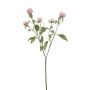 Ramo artificiale amaranto sferico DREWON, rosa, 65 cm