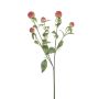Ramo artificiale di amaranto sferico DREWON, rosso, 65 cm