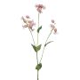 Ramo artificiale silene PRANVERA con fiori, rosa, 80 cm