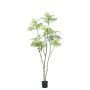 Albero artificiale Mahonie KLEANA, tronchi artificiali, verde, 210 cm