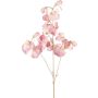 Ramo decorativo Lathyrus latifolius SLIRKEN, rosa chiaro, 75 cm
