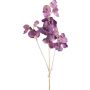 Ramo decorativo Lathyrus latifolius SLIRKEN, viola scuro, 75 cm