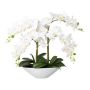 Orchidea Phalaenopsis in tessuto KENTOL, vaso in ceramica, radici, bianco, 55 cm