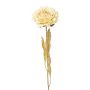 Fiore decorativo peonia MASNOR, effetto secco, crema, 65 cm
