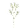Amaranto artificiale GRALEN, bianco, 55 cm