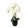 Orchidea Phalaenopsis artificiale UKERNA in vaso di resina, bianca, 55 cm