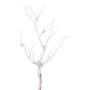 Ramo artificiale betulla BLUNTE, innevato, bianco, 65 cm