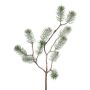 Ramo decorativo abete LUMVOR, ghiacciato, bianco, 55 cm