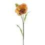 Papavero decorativo EDESSA, pesca-arancione, 80 cm