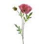 Papavero decorativo EDESSA, rosa, 80 cm