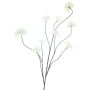 Ramo decorativo palla di neve GRIGO, crema, 125 cm