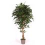 Ficus Benjamini artificiale YANEXY, tronchi naturali, verde, 200 cm - Made in Italy