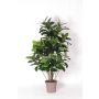 Albero della gomma artificiale LAURINTU, tronchi naturali, verde, 150 cm - Made in Italy