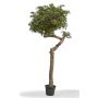 Acero giapponese artificiale KIMKA, tronco naturale, verde-rosso, 275 cm - Made in Italy